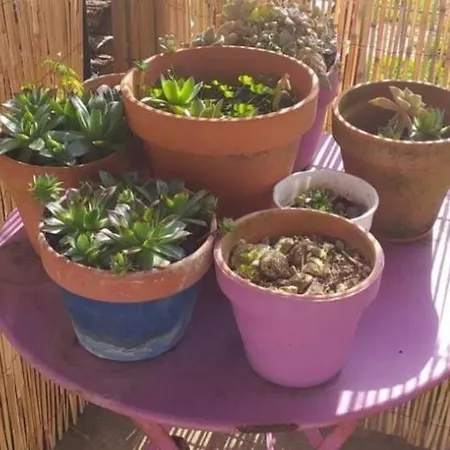 Le Petit Baigneur * Aytré